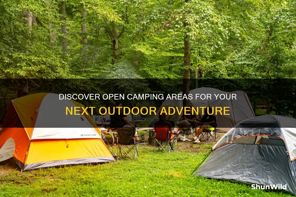 what camping areas are open
