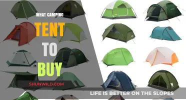 Choosing the Perfect Camping Tent: A Comprehensive Buyer's Guide
