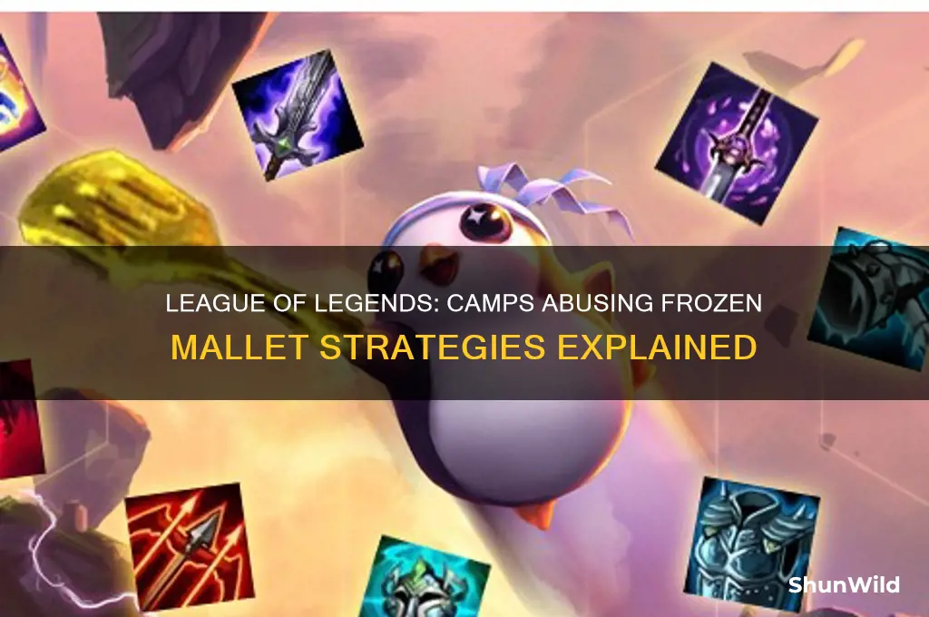 what camps abuse frozen mallet