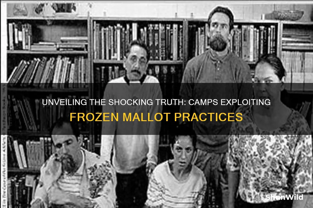 what camps abuse frozen mallot