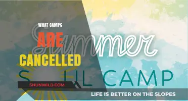 Cancelled Camps: Which Summer Programs Are Not Happening This Year?