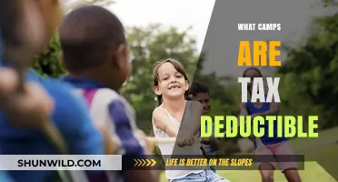 Tax-Deductible Summer Camps: What Expenses Qualify for Deductions?