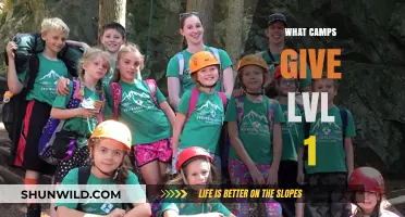 Discover Camps Offering Level 1 Training for Beginners