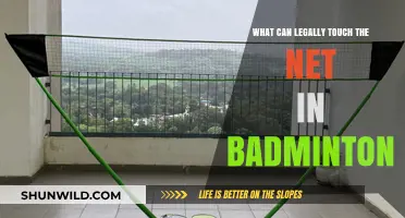 Net Play: What's Legal in Badminton?