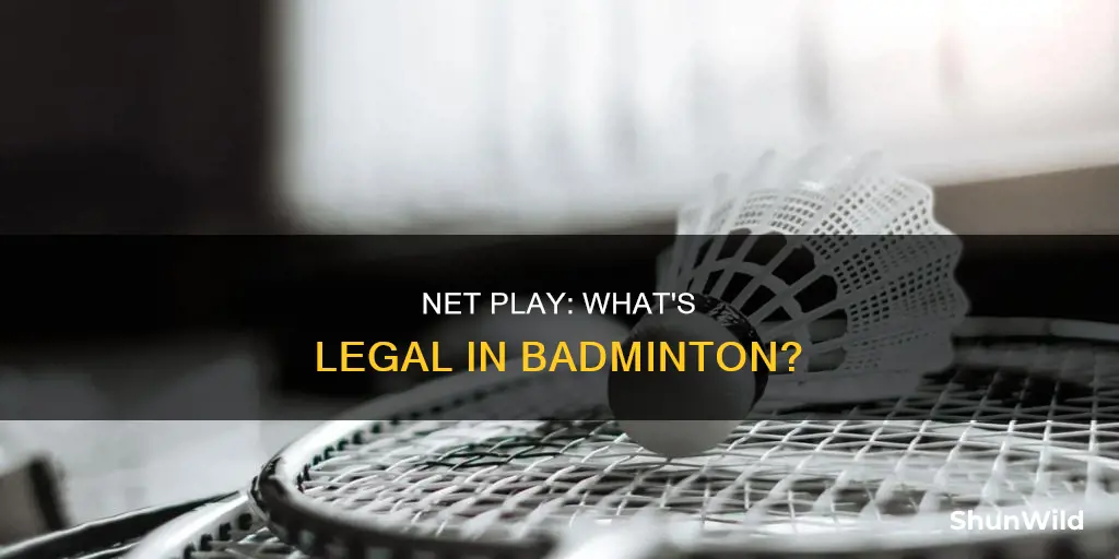 what can legally touch the net in badminton