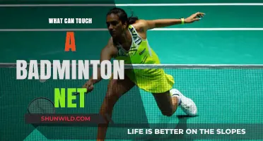 Badminton Net: What's Touching the Sacred Line?