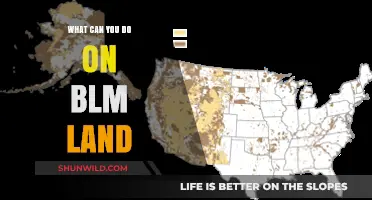Exploring BLM Land: Activities, Rules, and Adventure Ideas