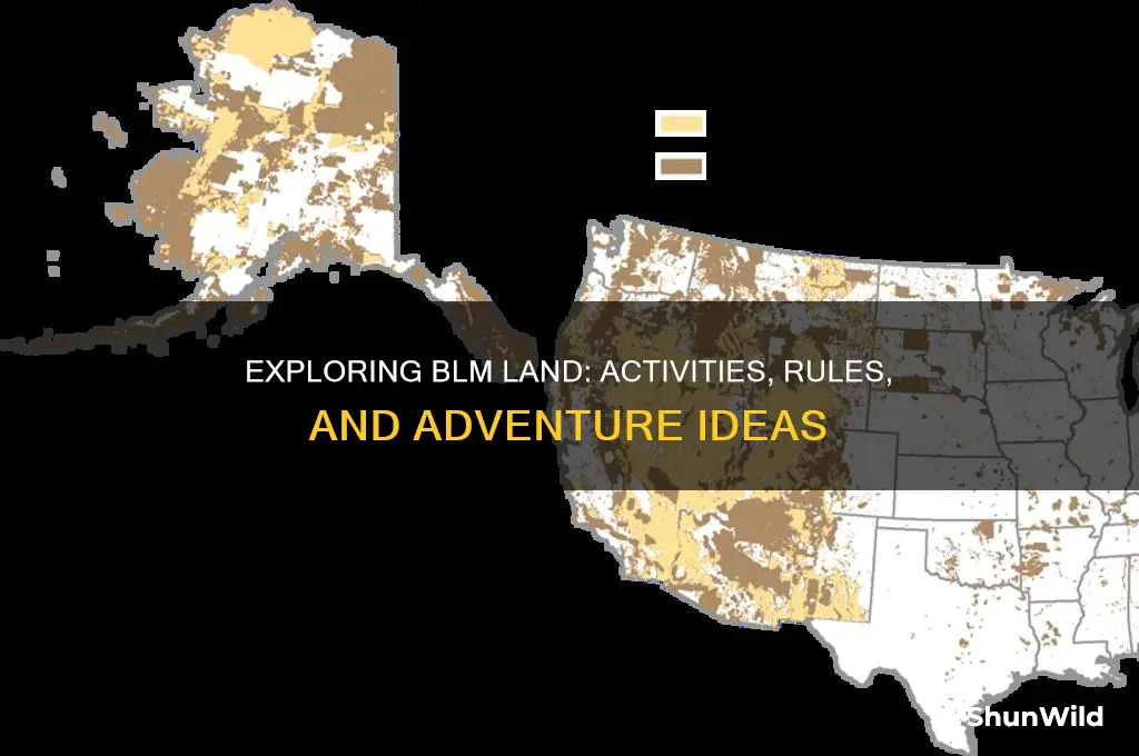 what can you do on blm land