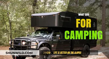 Best Camping Cars: Top Picks for Outdoor Adventures and Road Trips