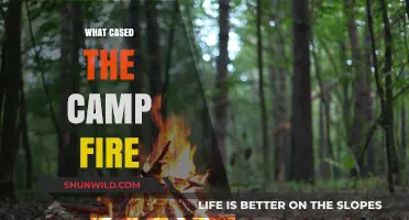 Unraveling the Devastating Causes Behind California's Camp Fire Tragedy