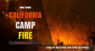 Unraveling the Devastating Causes Behind California's Camp Fire Tragedy