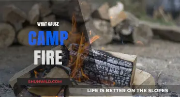 Understanding the Common Causes of Devastating Campfires and Prevention Tips