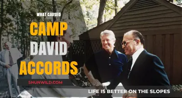 Unraveling the Catalysts Behind the Historic Camp David Accords