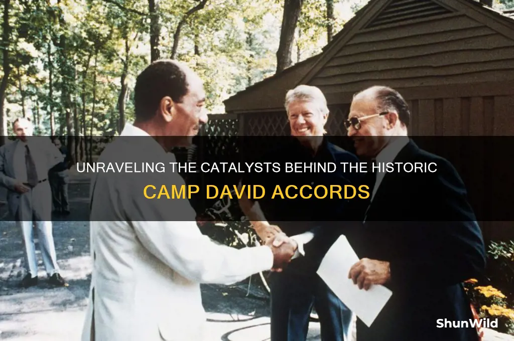 what caused camp david accords