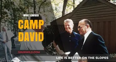 Unraveling the Complex Origins of the Camp David Accords