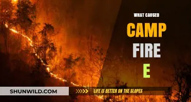 Unraveling the Devastating Causes Behind California's Camp Fire E Disaster