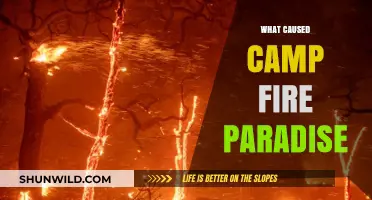 Unraveling the Devastating Causes of the Camp Fire in Paradise