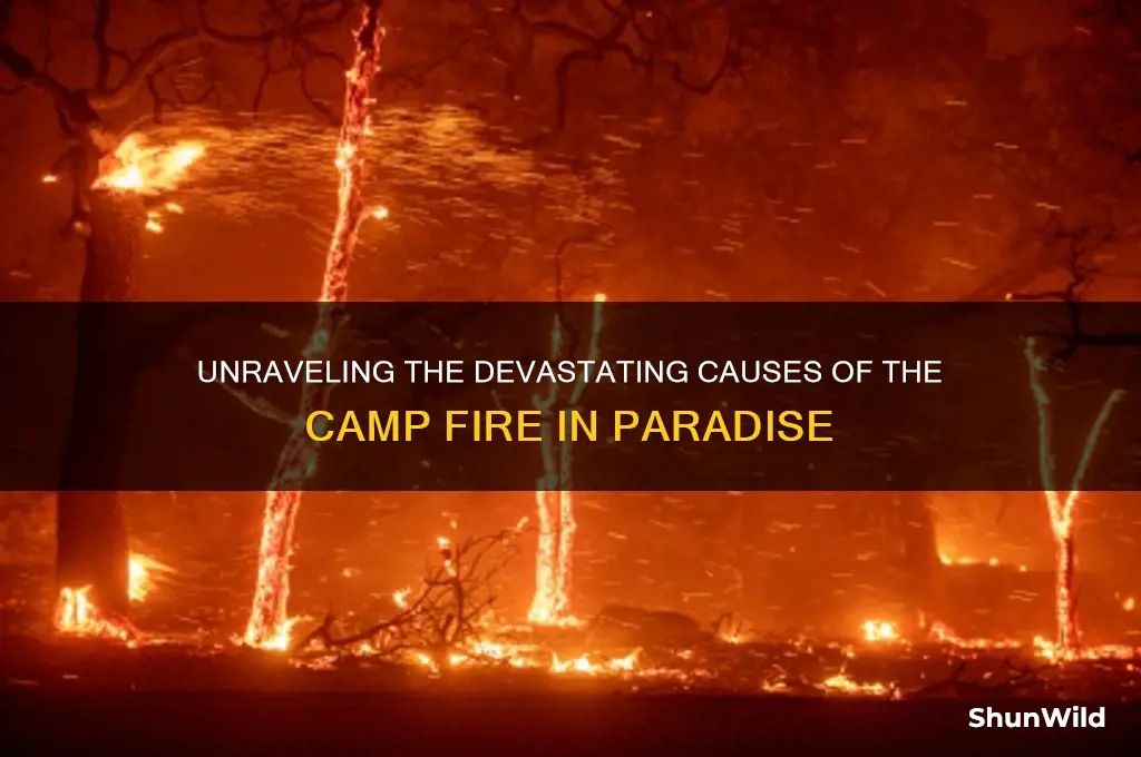 what caused camp fire paradise