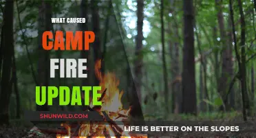 Unraveling the Devastating Causes of the Camp Fire Update