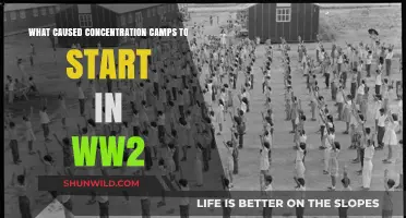 The Origins of WWII Concentration Camps: A Historical Analysis
