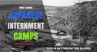 Unraveling the Dark History: Causes of Japanese Internment Camps
