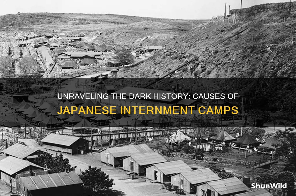 what caused japanese internment camps