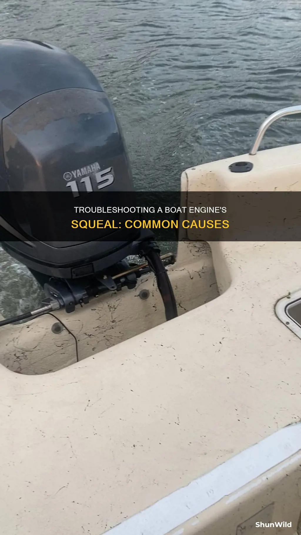 what causes boat engine to squeal