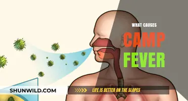 Unraveling the Causes of Camp Fever: Symptoms, Prevention, and Treatment