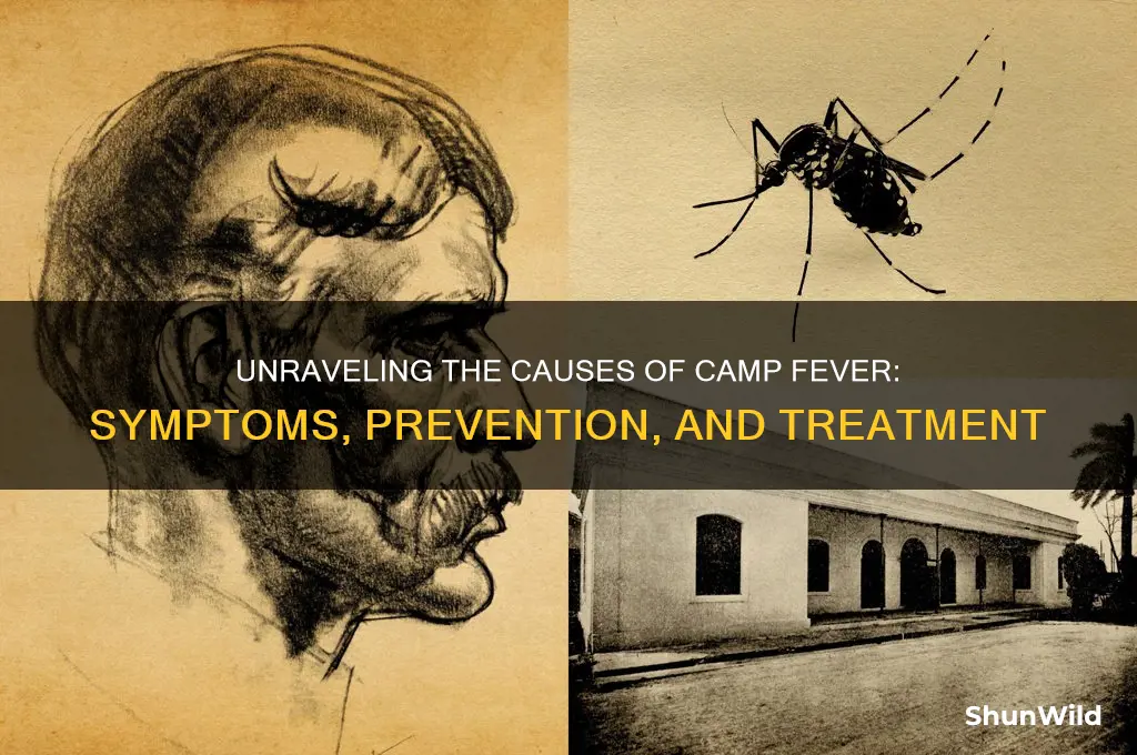 what causes camp fever