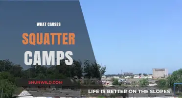 Understanding the Socioeconomic Factors Behind Squatter Camps Formation