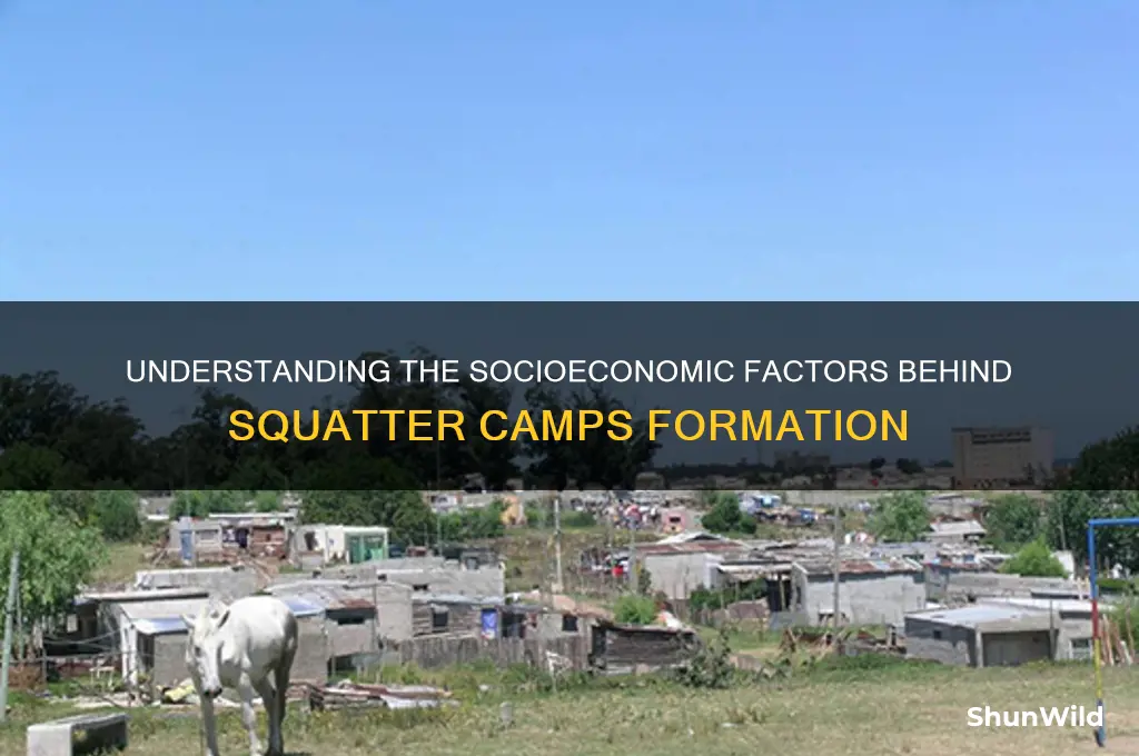what causes squatter camps