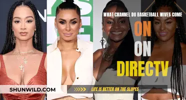 Basketball Wives: What Channel is it On?