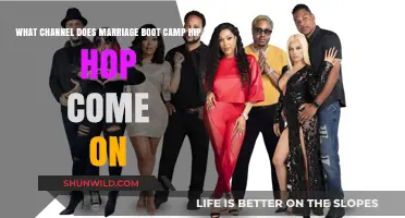 Where to Watch Marriage Boot Camp Hip Hop Edition