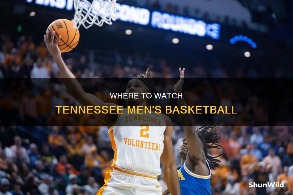 what channel does tn men