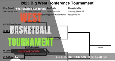 Big West Basketball Tournament: Channel and Streaming Details