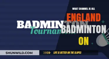 Where to Watch All England Badminton Championships
