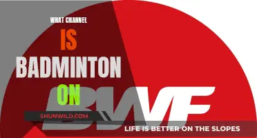 Where to Watch Badminton: TV Channel Guide