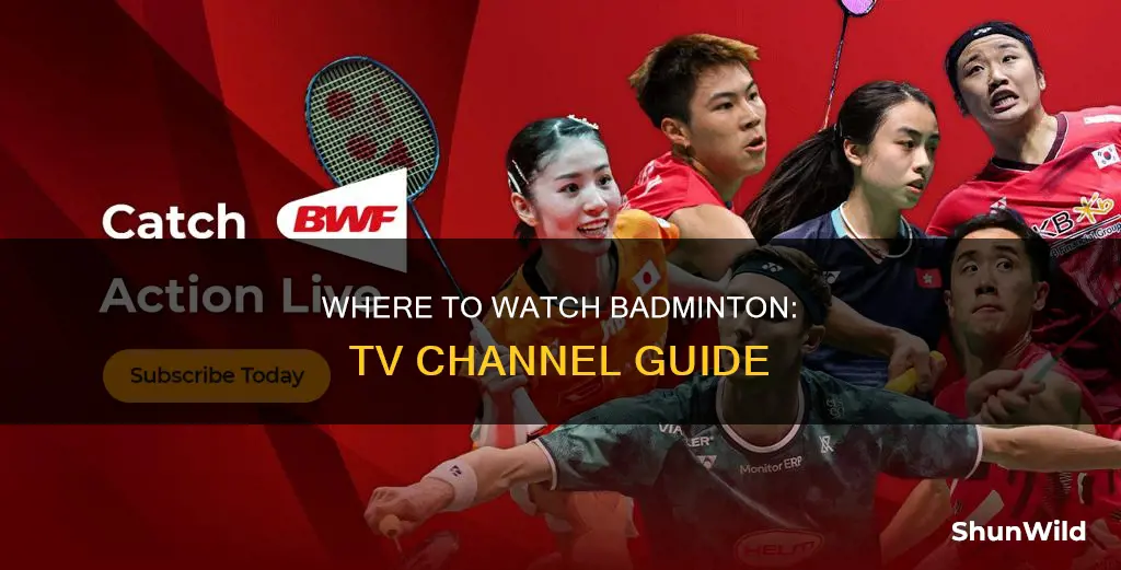 what channel is badminton on