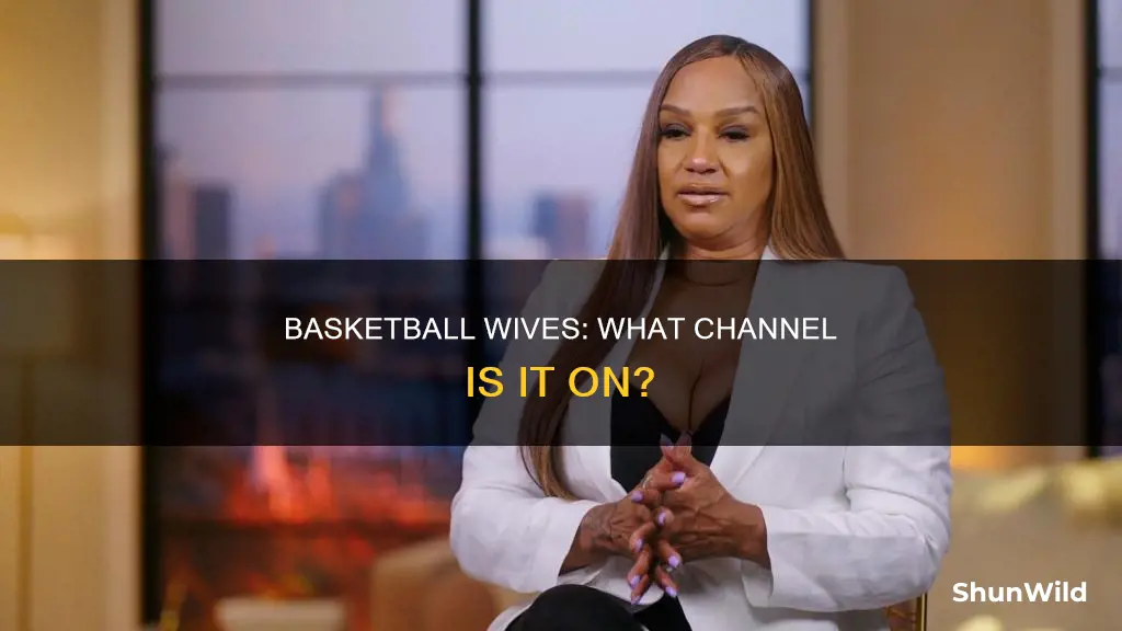 what channel is basketball wives on optimum