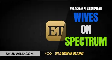 Basketball Wives: Spectrum Channel Guide for Fans