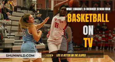 Dubuque Senior High Basketball: TV Channel Guide