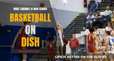 High School Basketball: Dish Channel Guide