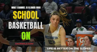 Illinois High School Basketball: TV Channel Guide