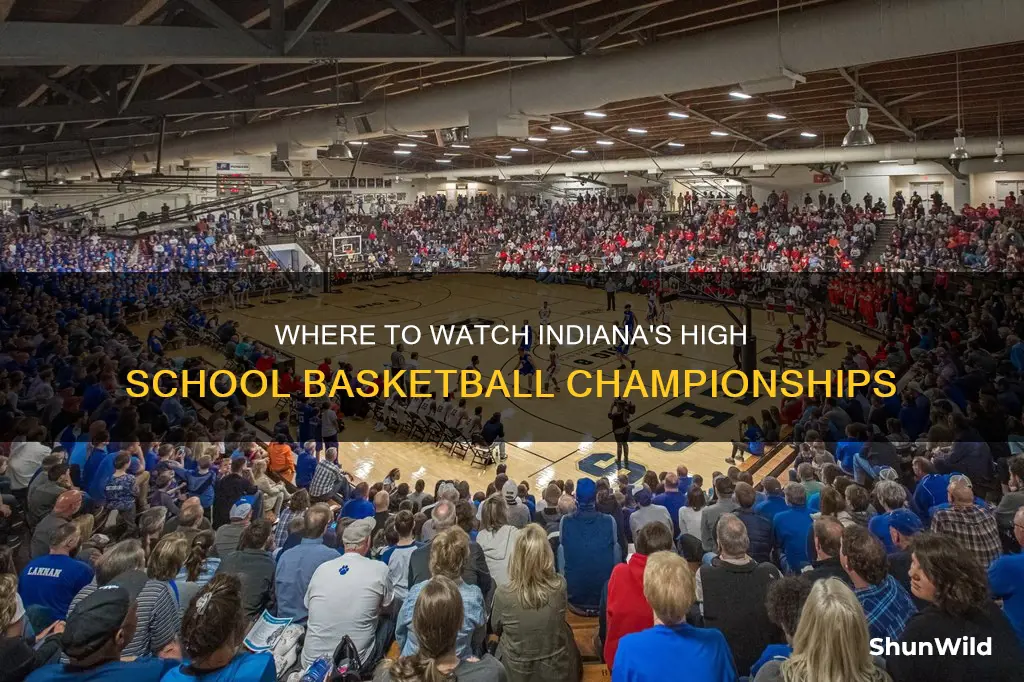 what channel is indiana high school basketball championship on