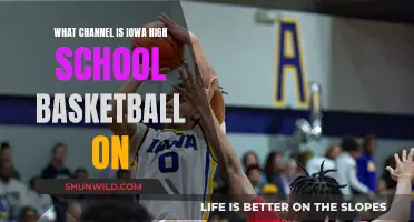Iowa High School Basketball: TV Channel Guide