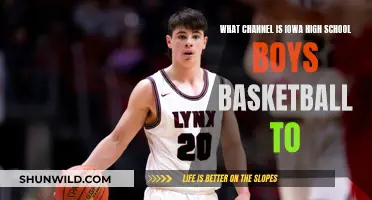 Iowa High School Boys Basketball: TV Channel Guide