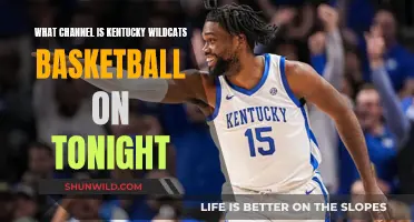 Find Out: Kentucky Wildcats Basketball Channel Tonight