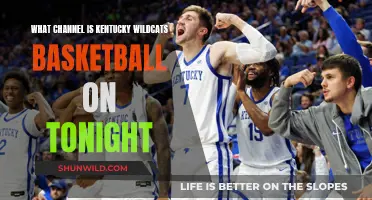 Where to Watch Kentucky Wildcats Basketball Tonight