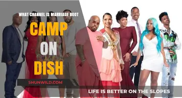 Where to Watch Marriage Boot Camp on Dish Network