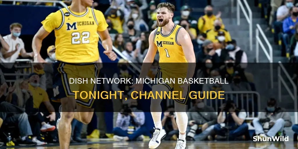 what channel is michigan basketball on tonight on dish